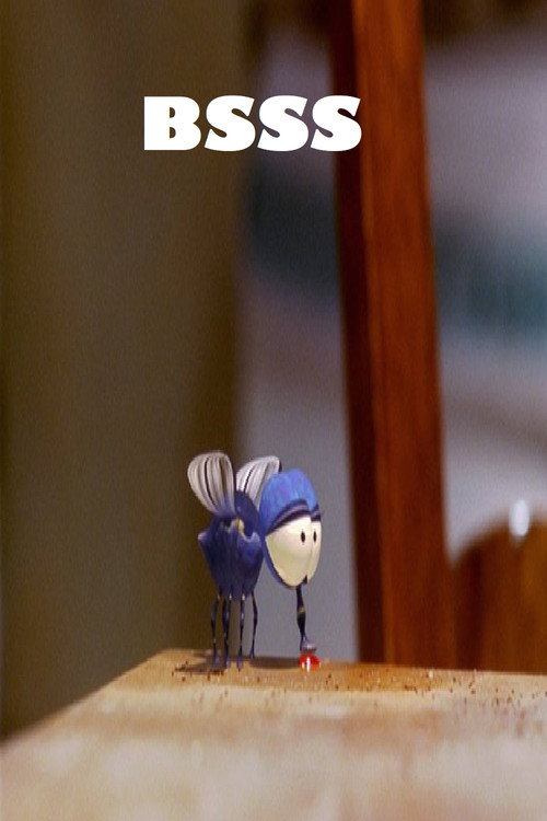 Bsss poster