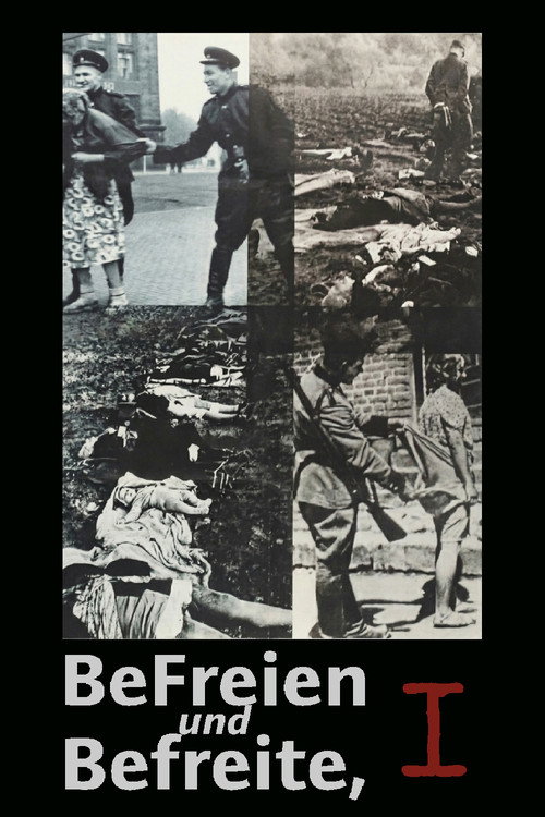 Liberators Take Liberties poster