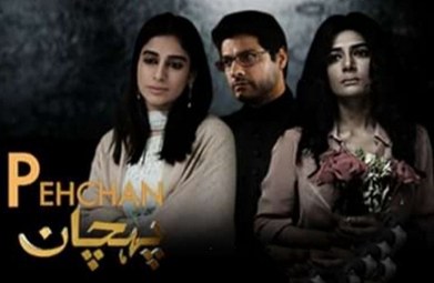 Pehchaan poster