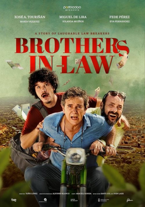 Cuñados poster