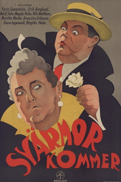 Mother-in-Law's Coming poster