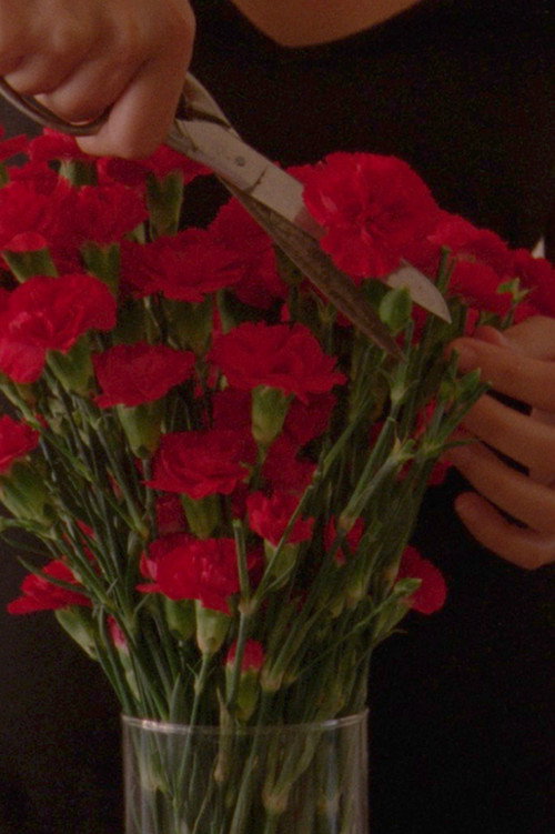 Flowers blooming in our throats poster