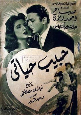 حبيب حياتي poster
