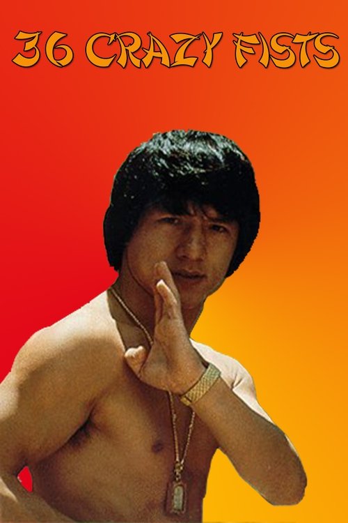 36 Crazy Fists poster
