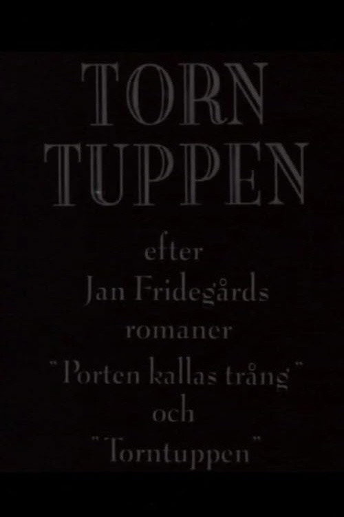 Torntuppen poster