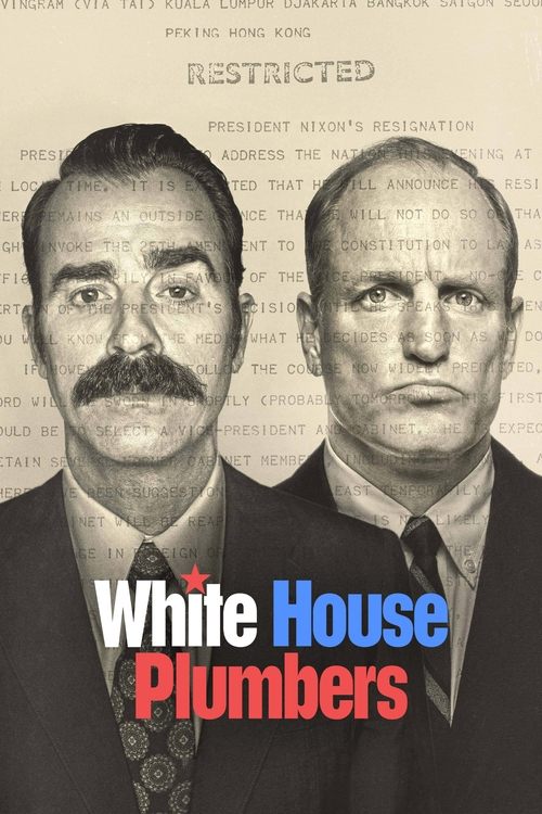 The White House Plumbers poster