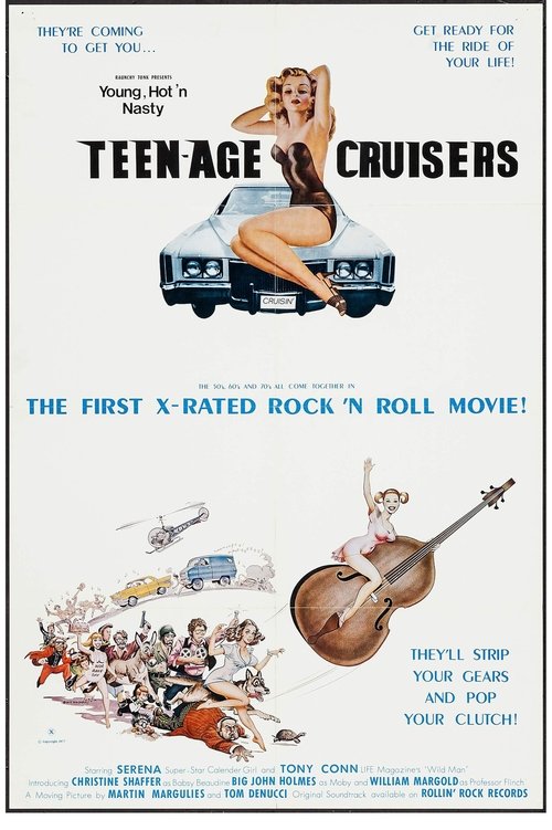Teenage Cruisers poster