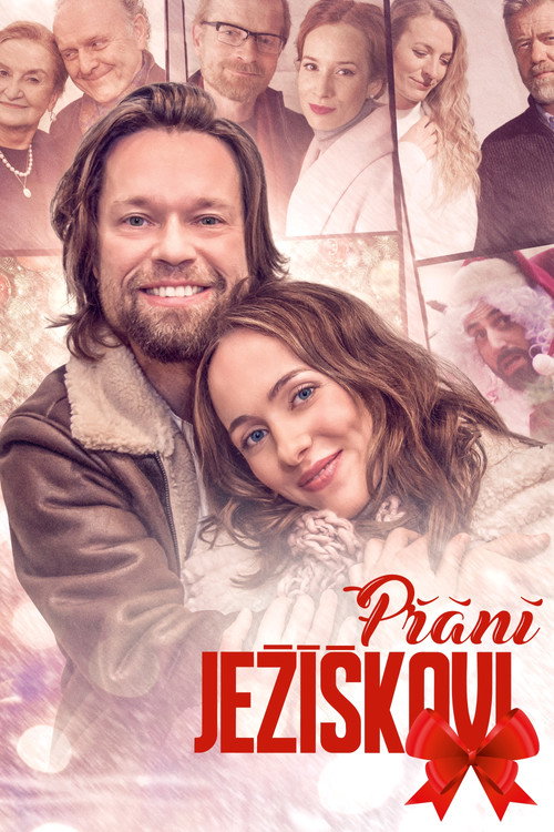 Přání Ježíškovi poster