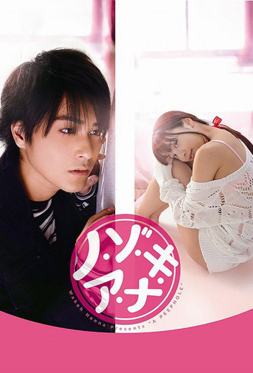 Nozoki Ana poster