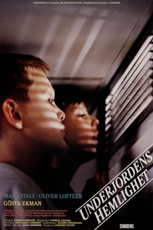 Underground Secrets poster