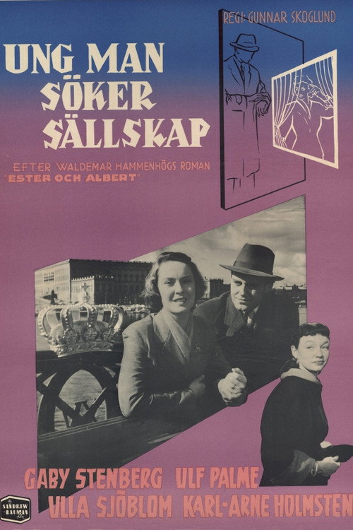 Young Man Seeking Company poster