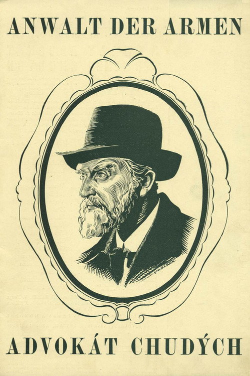 Advokát chudých poster