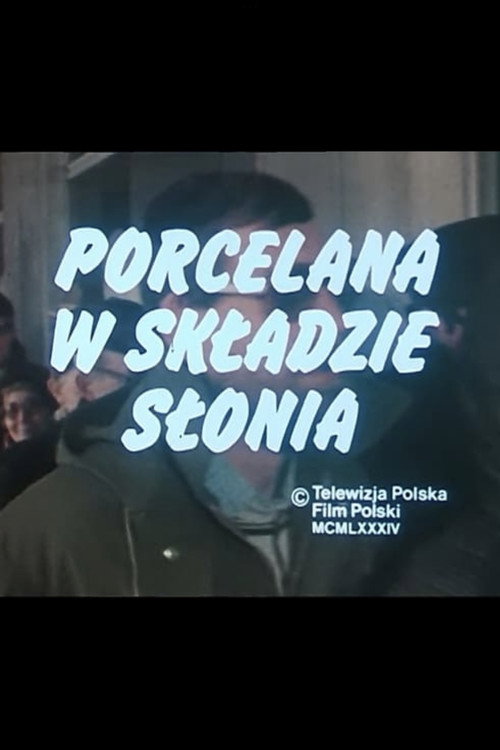 Porcelain in an Elephant’s Shop poster