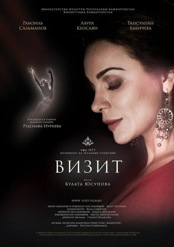 Visit (film 2014) poster