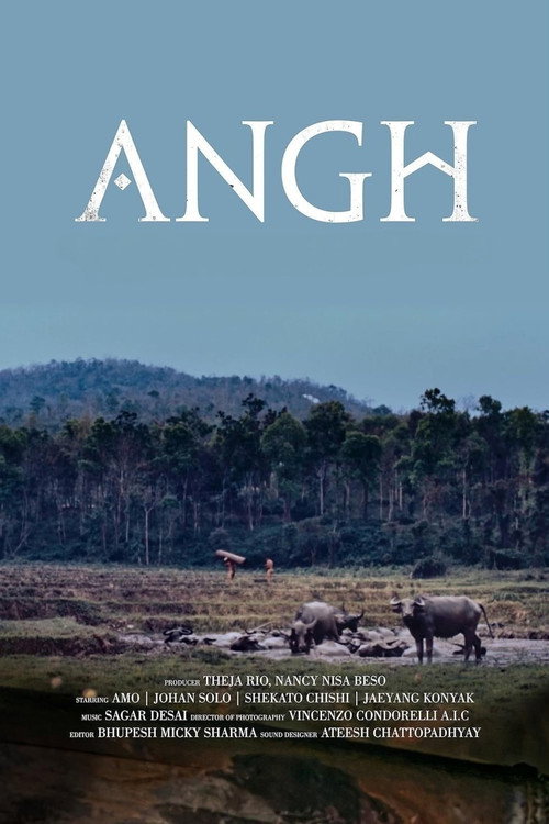 Angh poster