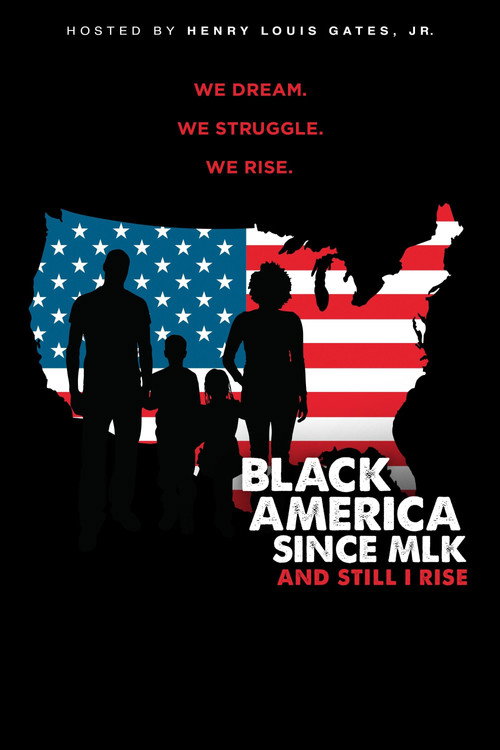 Black America Since MLK poster