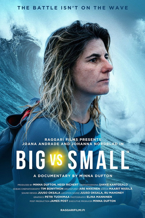 Big vs Small poster