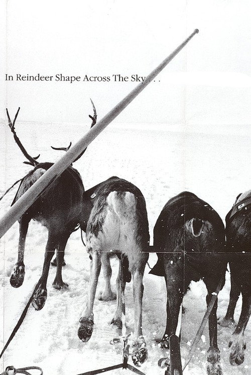 In the Shape of a Reindeer Across the Canopy of Heaven poster