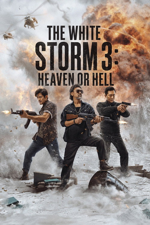 The White Storm 3 poster
