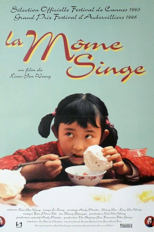 The Monkey Kid poster