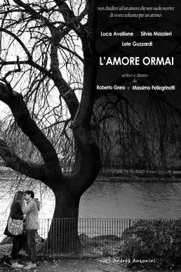 L'amore ormai poster