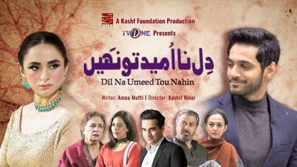 Dil Na Umeed To Nahi poster