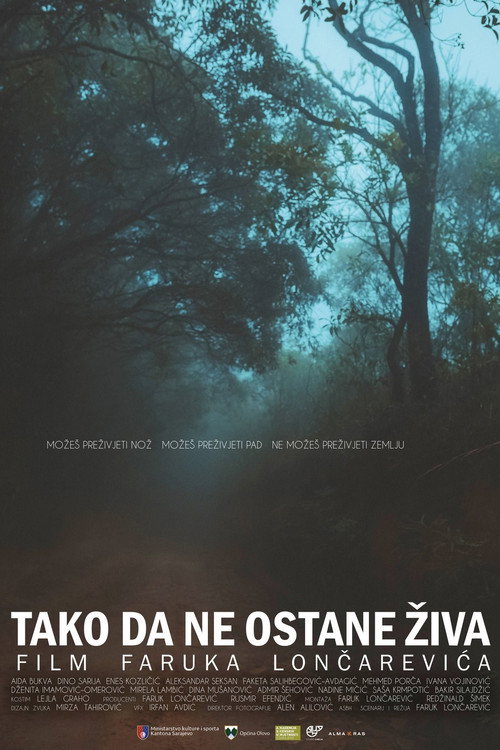 So She Doesn't Live poster