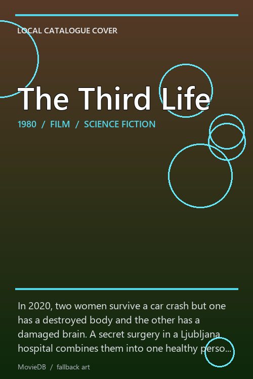The Third Life poster