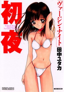 Virgin Night poster