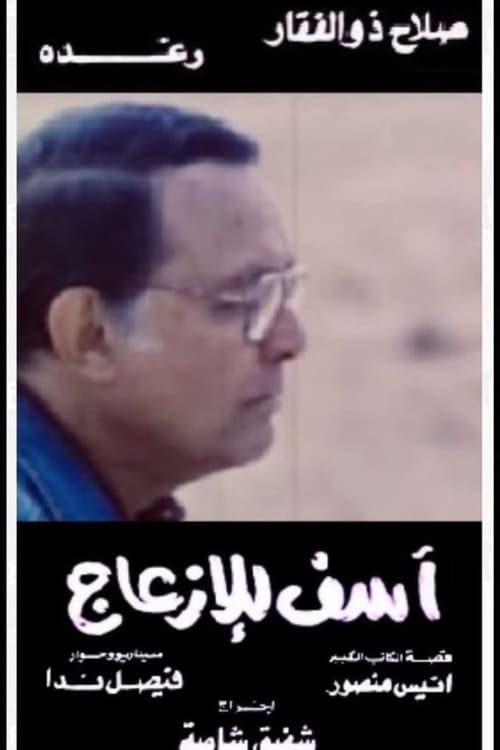 Sorry for Bothering poster