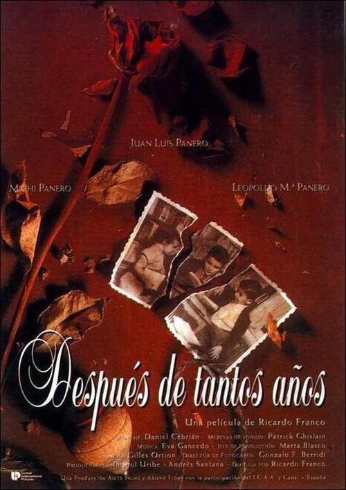 Después de tantos años poster