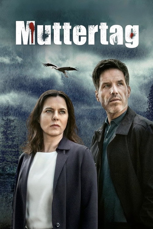 Muttertag – Ein Taunuskrimi poster