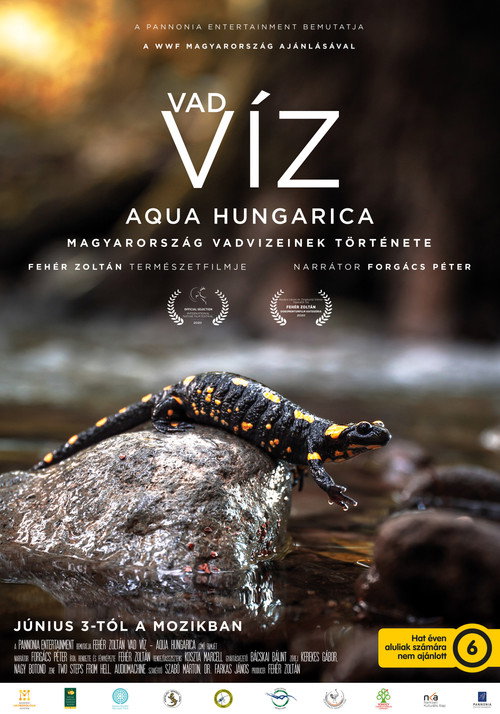 Vad víz - Aqua Hungarica poster