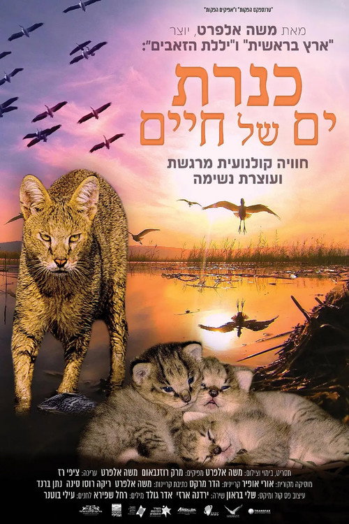 Kinneret: Sea of Life poster