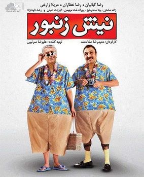 Nish O Zanboor poster