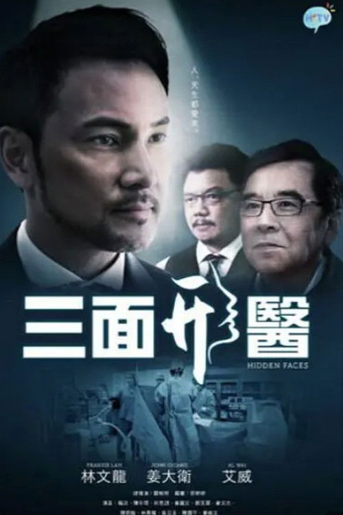 Hidden Faces poster