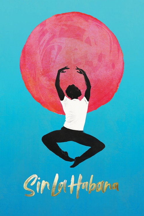 Without Havana poster