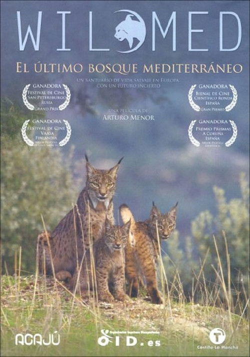 WildMed, the last Mediterranean forest poster