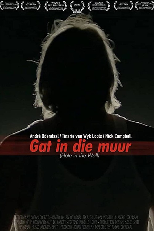 Hole in the Wall poster
