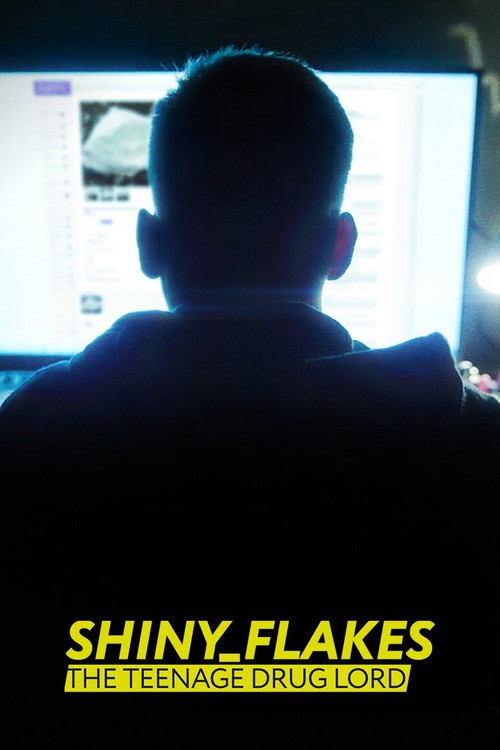 Shiny Flakes: The Teenage Drug Lord poster