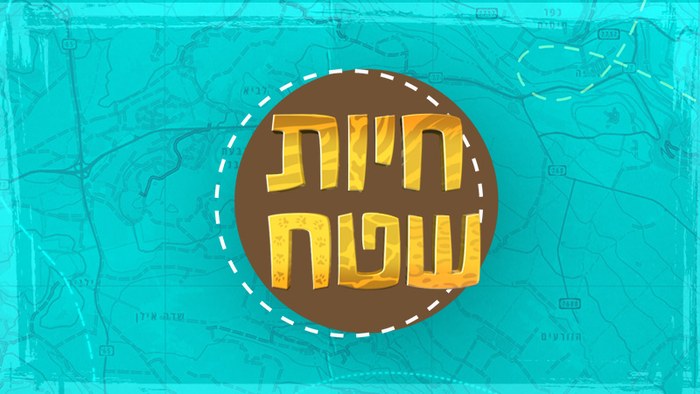 חיות שטח poster