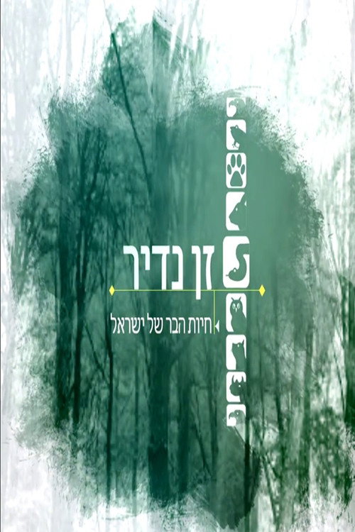 Zan Nadir poster
