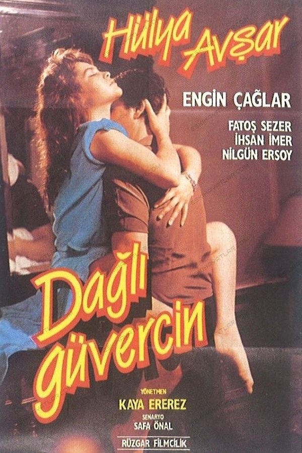 Dağlı Güvercin poster