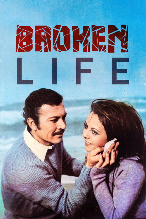 Kırık Hayat poster