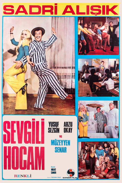 Sevgili hocam poster