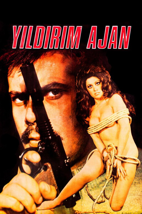 Yildirim Ajan poster
