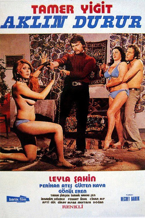 Aklin Durur poster