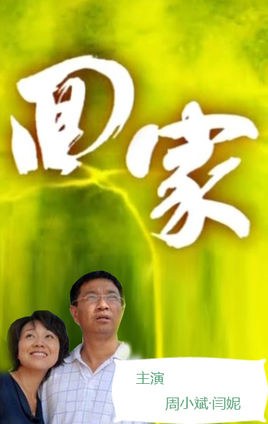 回家 poster