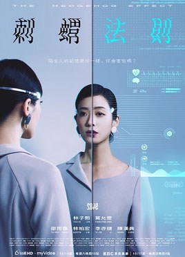 2049—刺蝟法則 poster