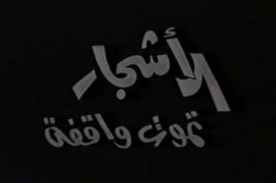 الأشجار تموت واقفة poster